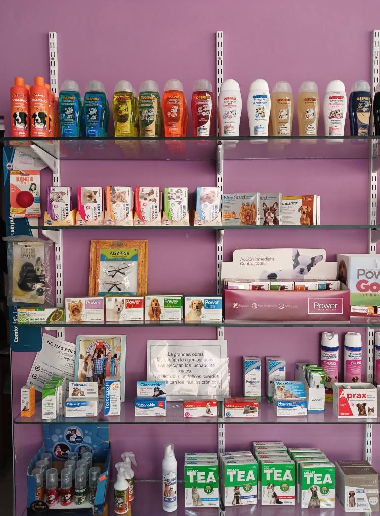 Accesorios y productos para mascotas