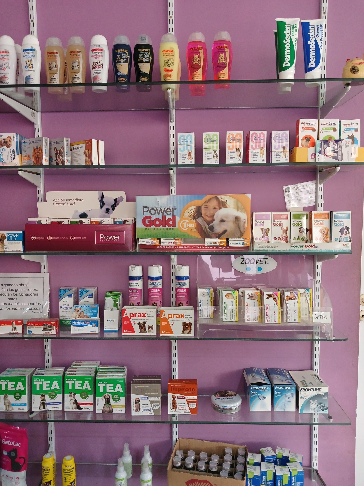 Centro Veterinario Diógenes — vista del local