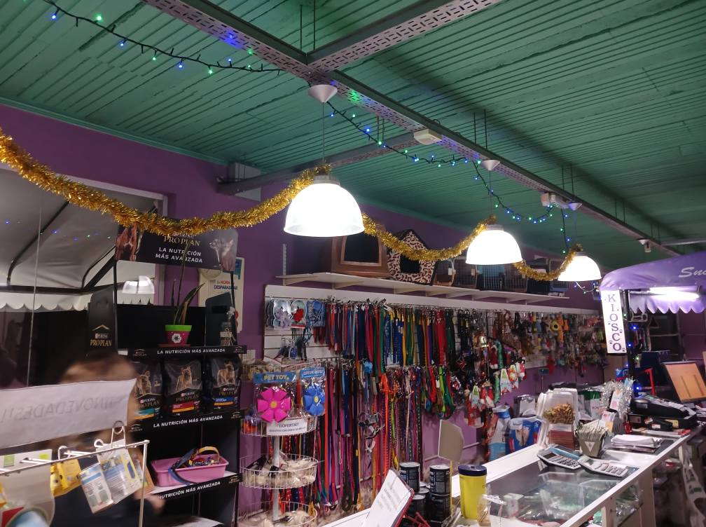 Espacio de atención de Veterinaria Diógenes